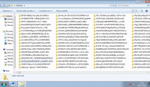 Screenshot 1 - Reyboz Directory Invader - 2012